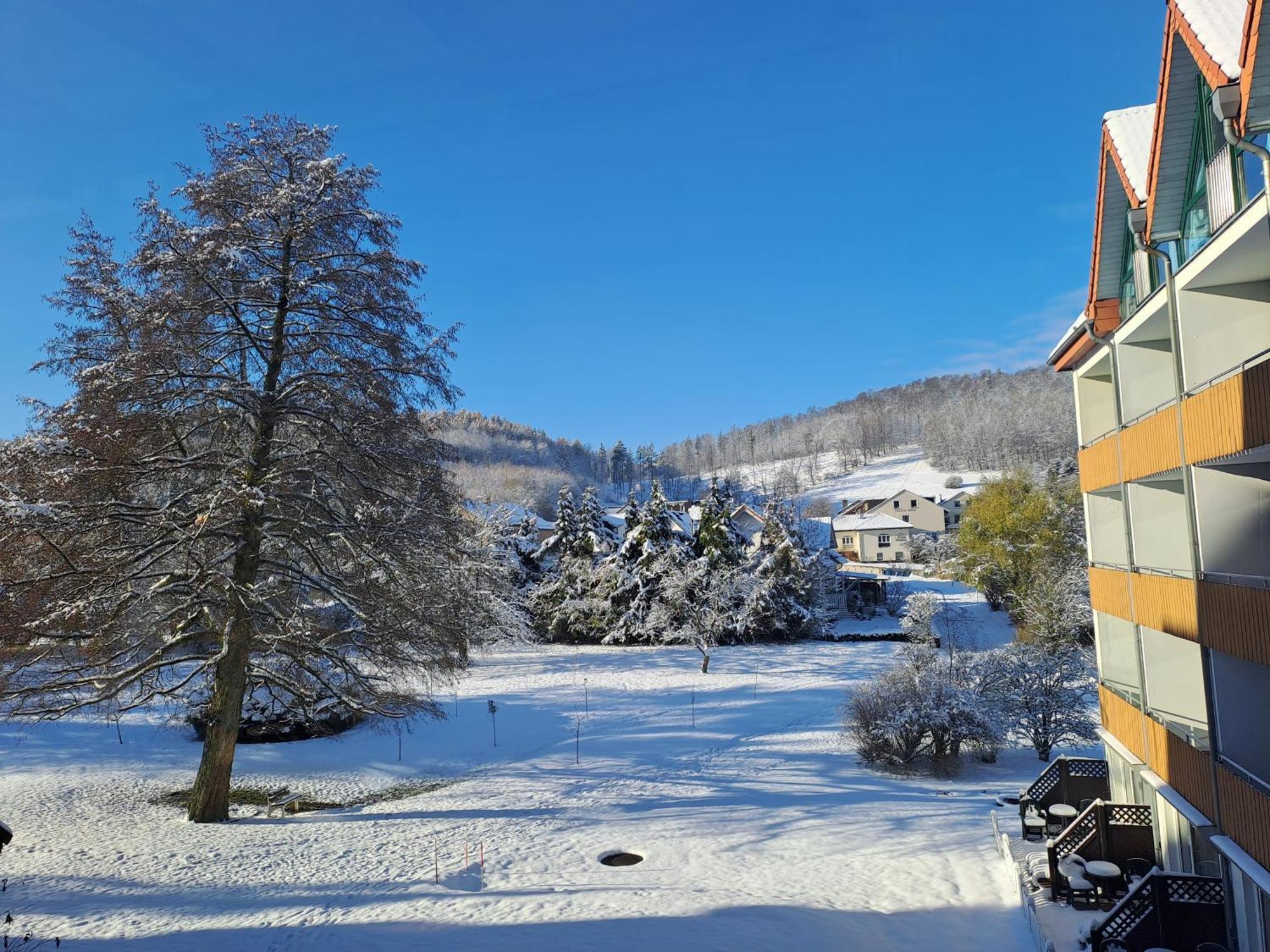 Waldhotel Baerenstein Horn-Bad Meinberg Εξωτερικό φωτογραφία